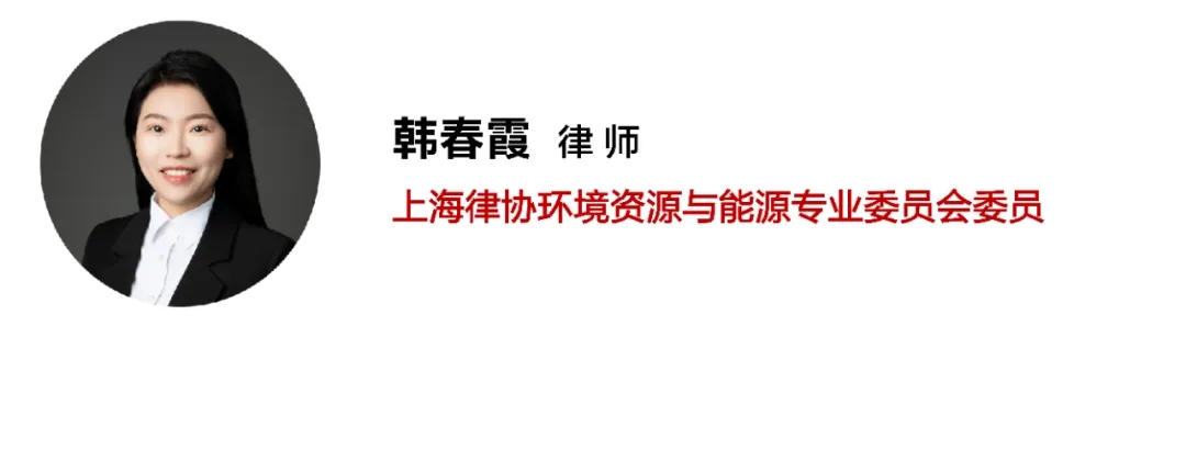 54.webp.jpg
